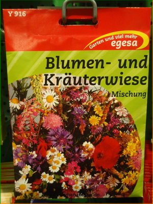 Blumen- u. Kräuterwiese, 5 qm
