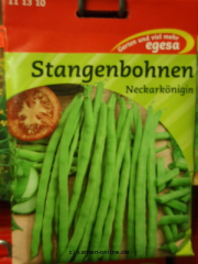 Stangenbohne Neckarknigin