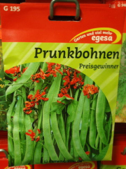 Prunkbohne Preisgewinner, Feuerbohne