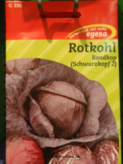 Rotkohl Roodkop (frher Schwarzkopf)