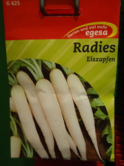 Radies Eiszapfen,