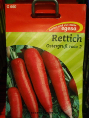 Rettich Ostergru rosa