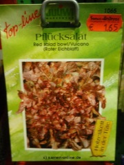 Pfl�cksalat Red salad bowl, auch Eichblatts