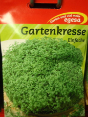 Gartenkresse, einfach, groe Portion