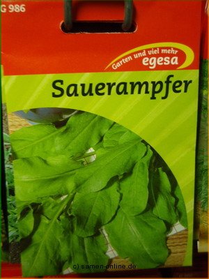 Sauerampfer, Rumex acetosa