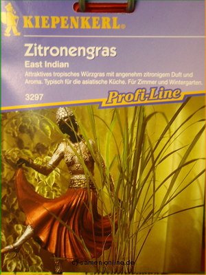 Zitronengras, Cymbopogon citratus