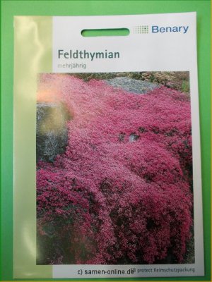 Feldthymian, Quendel, Thymus serphyllum