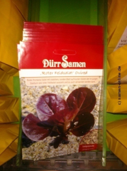 Feldsalat Roter Feldsalat Ovired (Baby leaf Batavia)