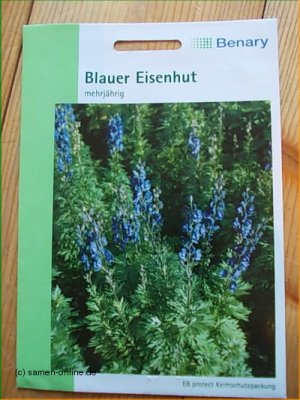 Blauer Eisenhut Aconitum napellus
