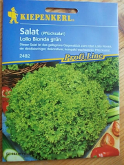 Salat Pflcksalat Lollo Bionda