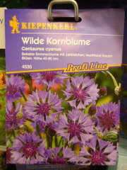 Kornblume, wilde,  Centaurea cyanus