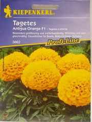 Studentenblume Tagetes x erecta Antigua Orange F1