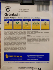 Grnkohl Black Magic (Palmkohl)